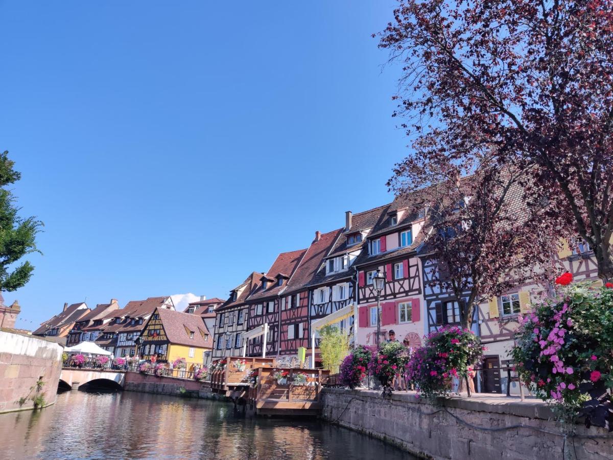 Au Bretzel Dore - Centre Historique Colmar Kültér fotó